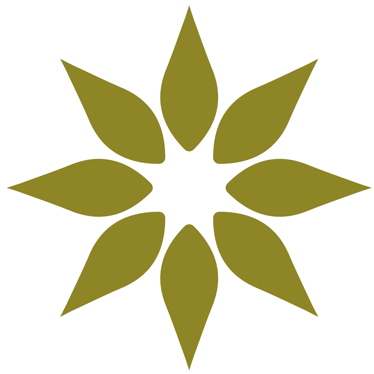 Custom icon