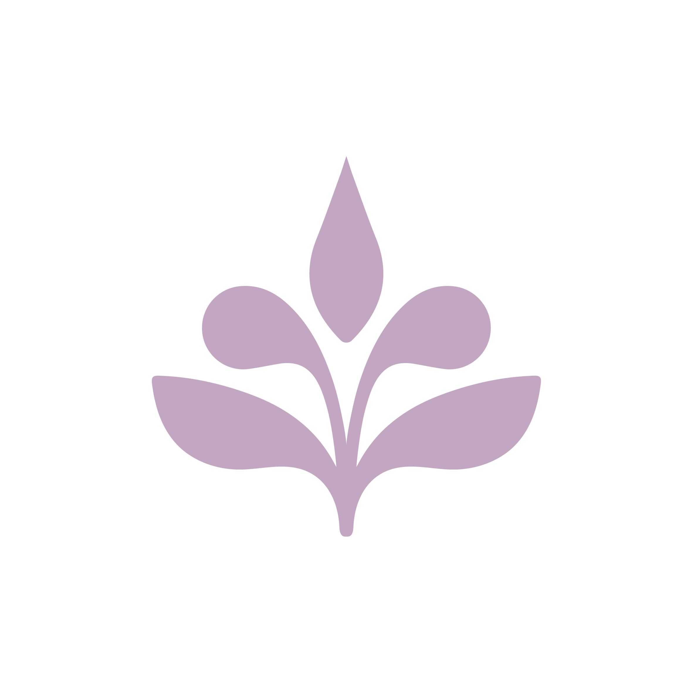 Custom icon