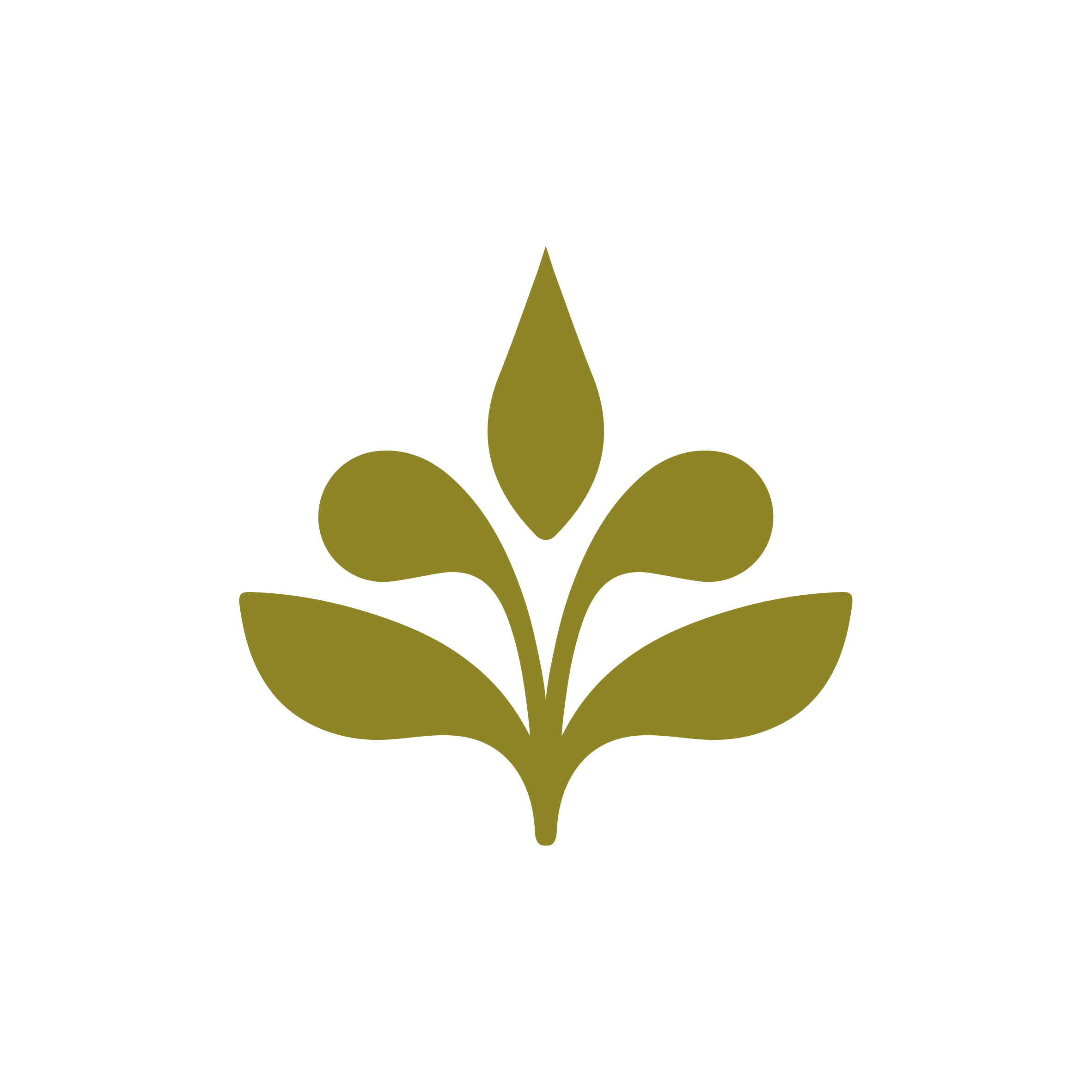 Custom icon