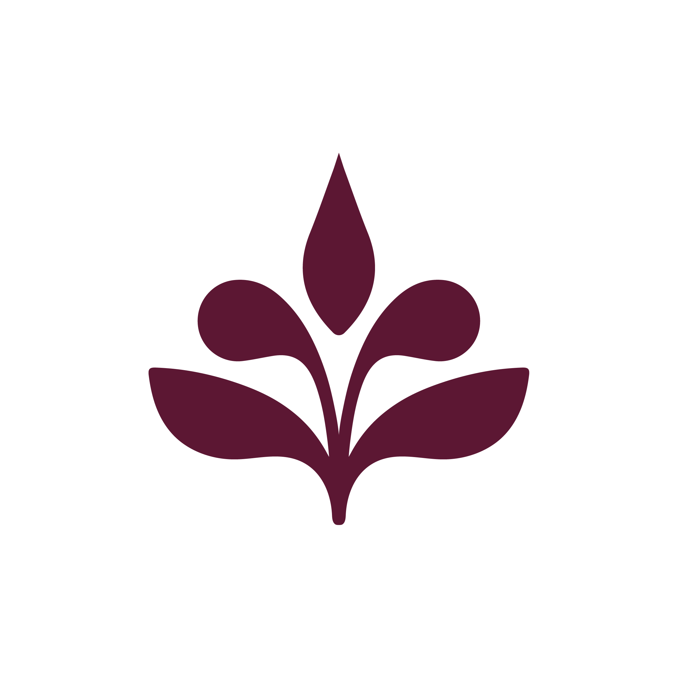Custom icon