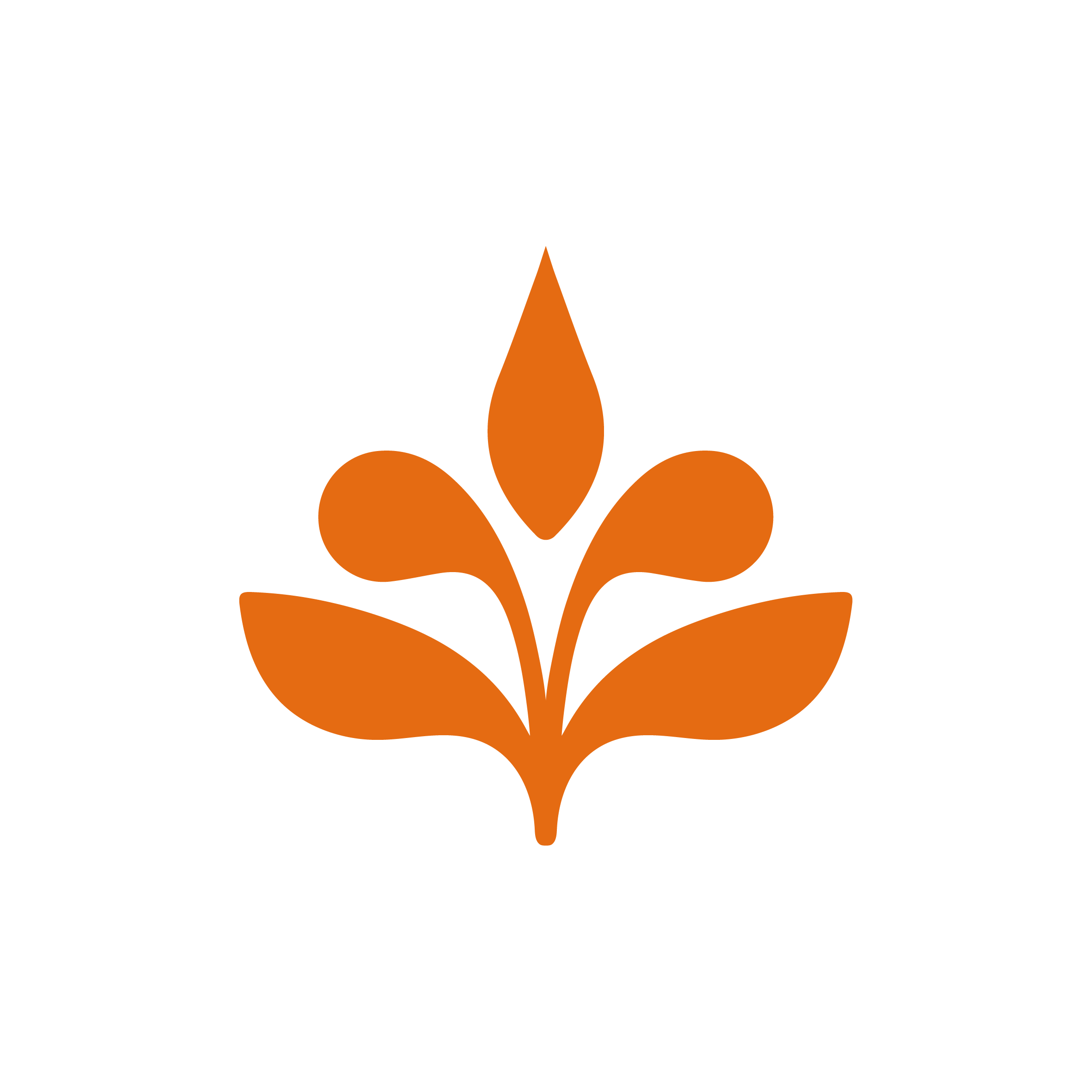 Custom icon